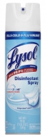 Lysol Professional Disinfectant Spray 19 oz.